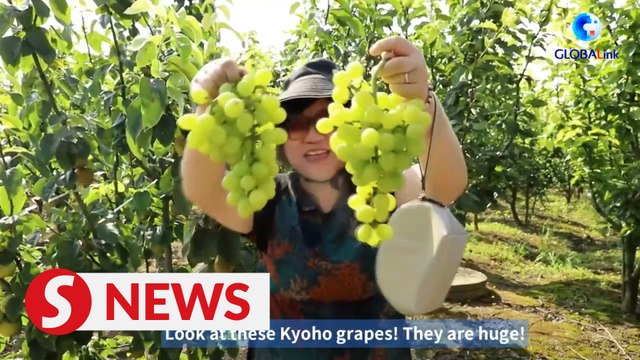 Things are getting fruity in Hunan province