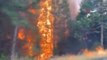 Son dakika haber... California'da orman yangını nedeniyle acil durum ilan edildi