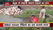 Pratapgarh Viral Video: सोशल मीडिया पर वीडियो वायरल, गोली मारकर मछली का शिकार !