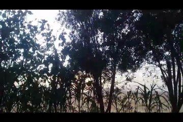 طبيعة خلابة