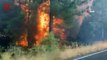 California’da orman yangını nedeniyle acil durum ilan edildi