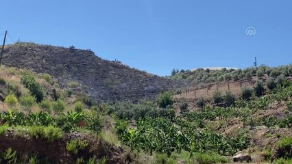 Badem bahçesinde çıkan yangın söndürüldü