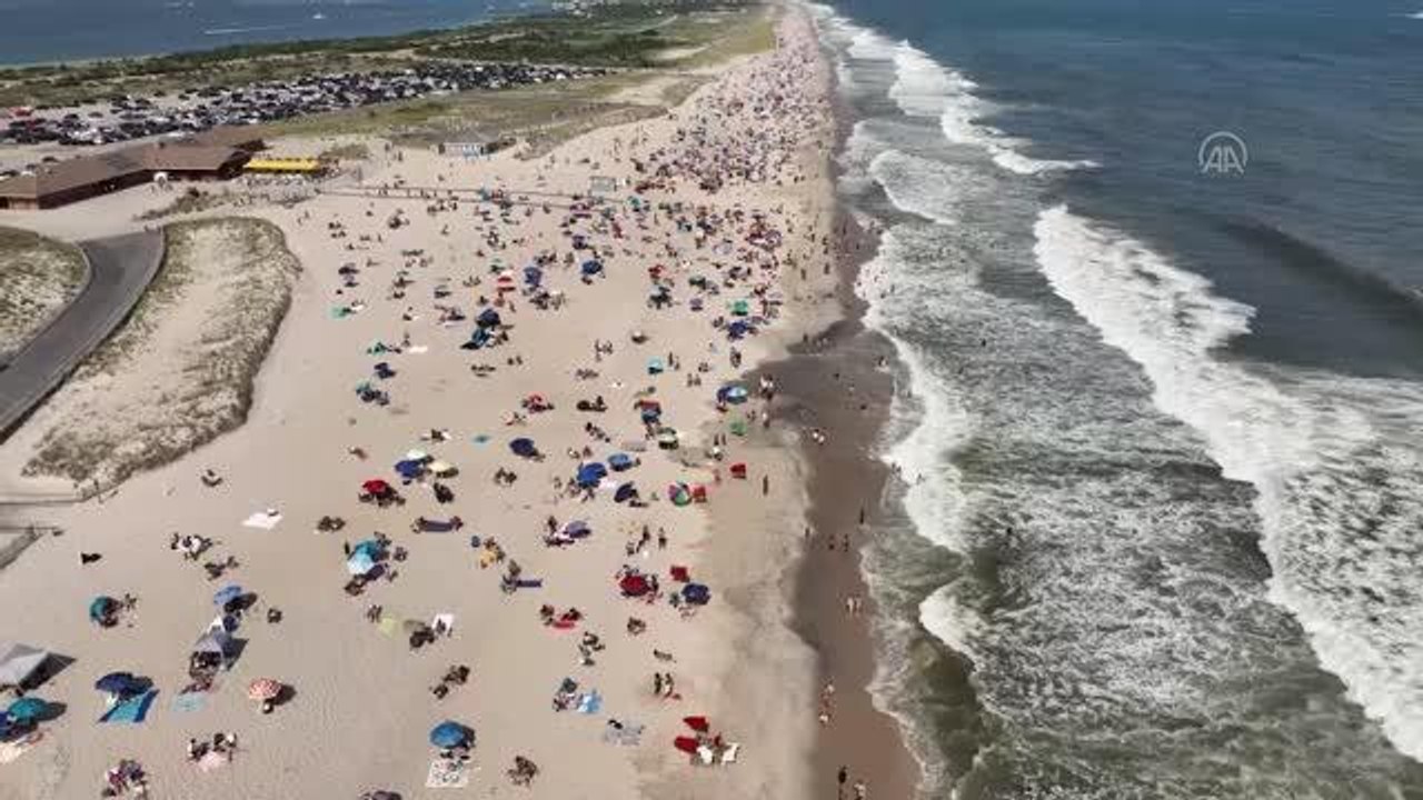 Rockaway Plajı, bölgedeki köpekbalığı nedeniyle yüzme için geçici olarak kapatıldı