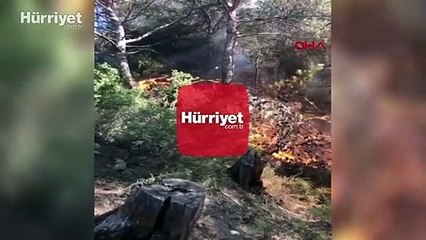 Muğla'nın Milas ilçesinde orman yangını