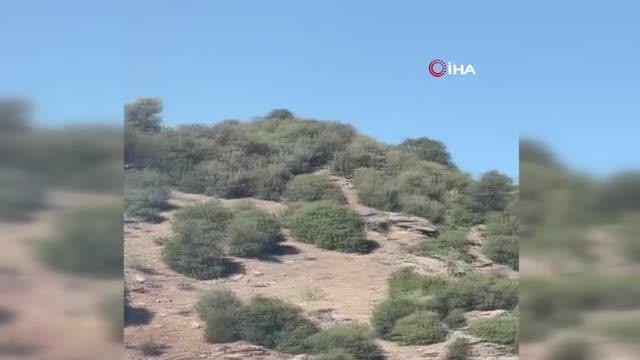 Uşak'ta orman yangını: Havadan ve karadan müdahale ediliyor