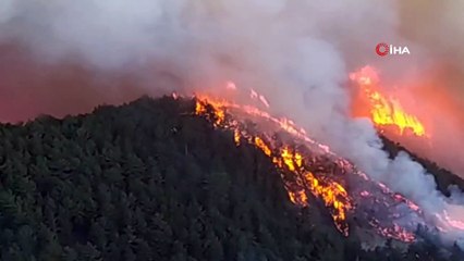 Kütahya'da orman yangını
