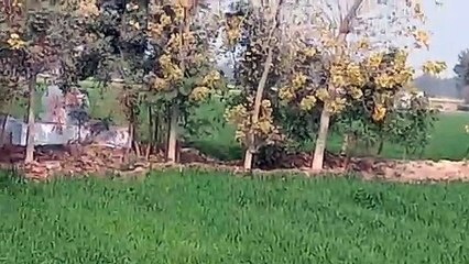 SriGanganagar नशेडि़यों की शरण स्थली बना मल्टीपरपज स्कूल का खेल ग्राउण्ड