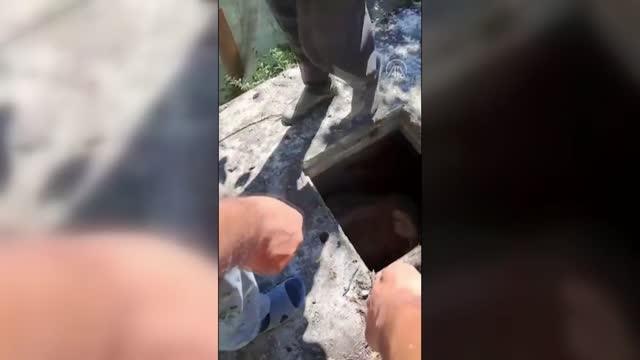 Su kuyusuna düşen inek iş makinesi ile kurtarıldı