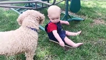Chiens et bébés drôles échouent moments