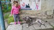 Un enfant mignon rencontre chien amical - Toddler Lile veut jouer avec un chien