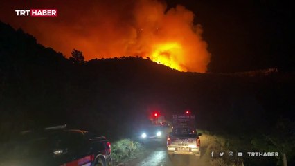Kütahya ve Manisa'da orman yangını