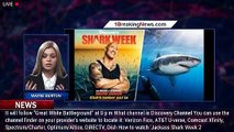 'Jackass Shark Week 2.0′ free live stream: How to watch Shark Week 2022 online without cable - 1brea