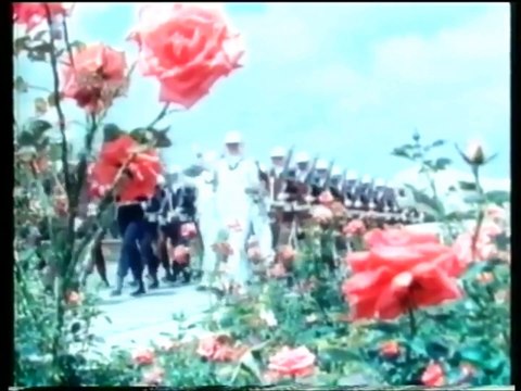 (Creepypasta) O bizarro encerramento das transmissões [Especial Dia das Bruxas 2022] [+12]