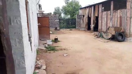 घरवालों की मौजूदगी में चोरों ने किया हाथ साफ, जानने के लिए देखें Video