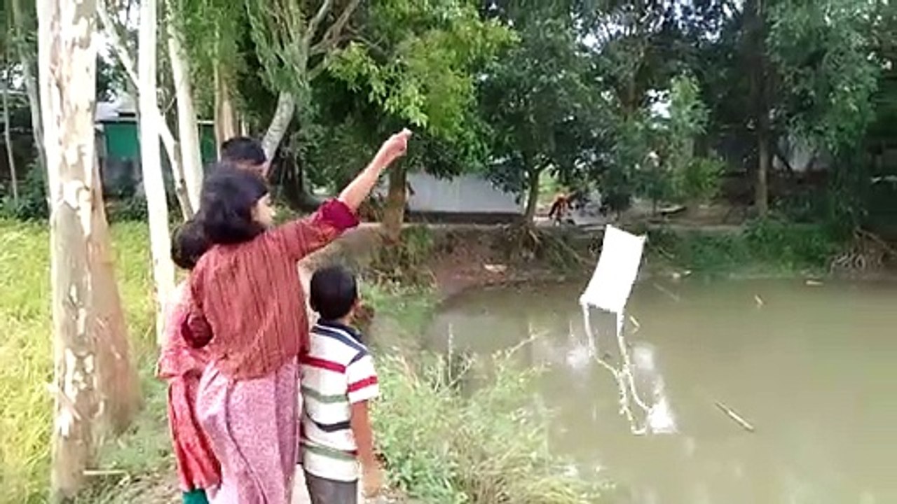 ঘুড়ি