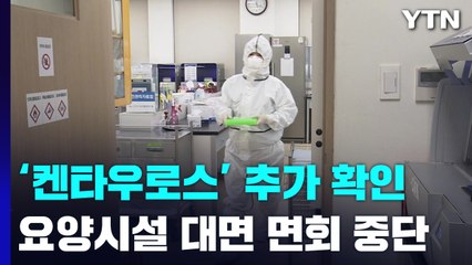‘켄타우로스' 변이 1명 추가...요양병원·시설 대면 면회 중단 / YTN