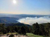 Kütahya'daki orman yangınına havadan ve karadan müdahale sürüyor