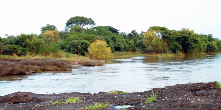 Nothing Phone (1) Issues_ Best Phone Under 30K_ Xiaomi 12 Lite Launch_ Pixel 6A Pricing