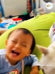 Funny Cats And Dogs Reaction Video 2022Funny Wild And Farm Animals Video #1