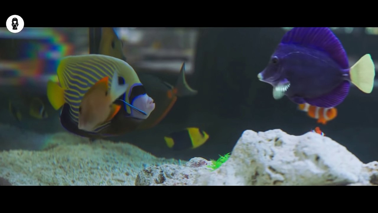 This Man Can Suddenly Hear Animals Talking & Shocked At What He Hears