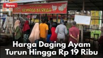Harga Daging Ayam Turun Drastis Hingga Rp 19 Ribu Per Kilogram !!