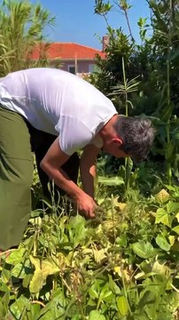 Σάκης Ρουβάς: Δοκιμάζει πεπόνι που καλλιεργεί στον κήπο του στο Νέο Βουτζά και συγκινείται!