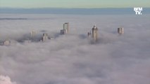 Sydney disparaît... Les images de la ville australienne plongée dans un épais brouillard