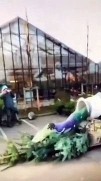 Wee #shorts #funnyvideos #funnyfails #funny #funnymoments #fyp (1)