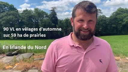 Des vaches à 10 000 litres en système herbager chez Ian McClelland en Irlande du Nord