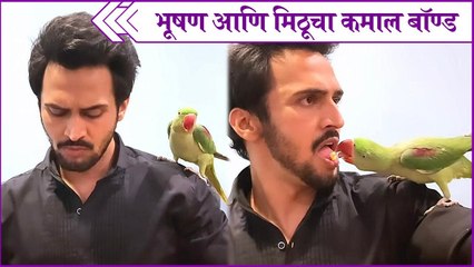 Bhushan Pradhan Feeding His Parrot With His Own Mouth Rajshri Marathi