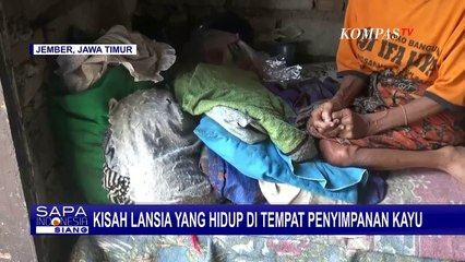 Download Video: Nenek di Jember Ini Pilih Tinggal di Tempat Penyimpanan Kayu, Karena Tak Mau Merepotkan Sang Adik