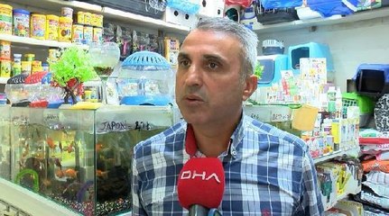 Akvaryumcular Odası'ndan, 'Kasaplar Odası' açıklaması: Her tarafta reklam oluyoruz