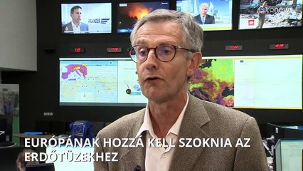 Európának együtt kell élnie az erdőtüzek számának meredek emelkedésével