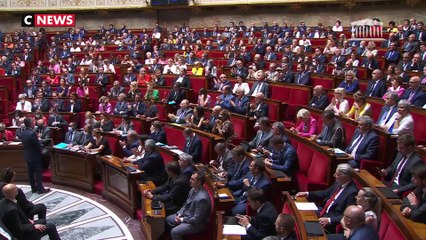 Le 12 juillet, Rémy Rebeyrotte fait un salut nazi pour dénoncer le geste d'un «facho» à l'Assemblée nationale