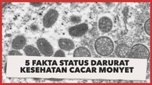 Jadi Darurat Kesehatan Dunia, Ini Deretan Fakta Cacar Monyet