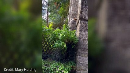 Water cascading down the bridge in Loose after a burst pipe