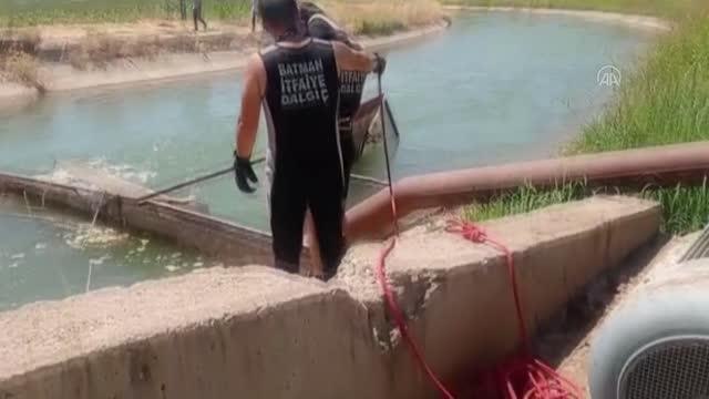 Sulama kanalına düşen keçisini kurtarmaya çalışan çoban akıntıya kapıldı