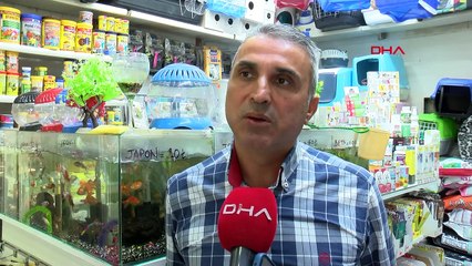 Petshop tartışmasına Manavcılar, Balıkçılar ve Akvaryumcular Odası da dahil oldu
