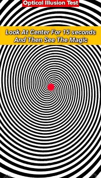 Optical Illusions That Make You See Things