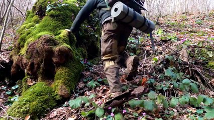 Bushcraft shelter camping in the wild, Camping with My Dog, Survival Shelter, Campfire Cooking, Asmr, Diy