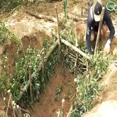 2 days solo on a Wild Island! Bushcraft & Outdoor Cooking