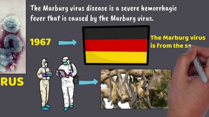 Marburg Virus Explained  (Ghana)