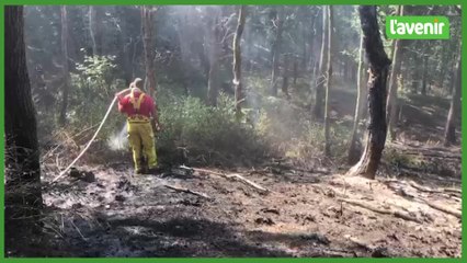 Feu de forêt à Namur