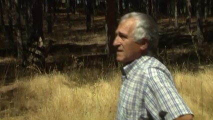 El incendio de San Juan de la Nava baja a nivel 1