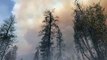 Califórnia luta contra incêndios florestais