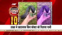 Viral Videos : देखिए सोशल मीडिया पर वायरल वीडियो का Countdown | Top 10 viral video |