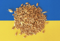 La Russie et l'Ukraine parviennent à un accord sur la distribution des céréales