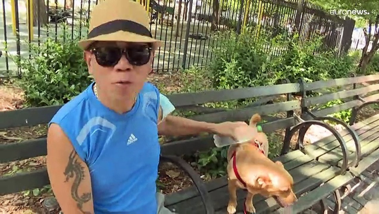 Mörderischer Sommer in New York: 'Auch Hunde können schnell überhitzen'