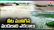 Crops Submerged In Flood Water, Farmers Demand Compensation For Crop Loss| Mulugu | V6 News