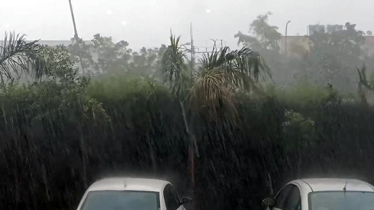 Mansoon Alert- राजस्थान में बारिश का दौर जारी,...